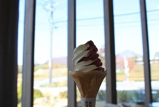 ブルーベリーソフト