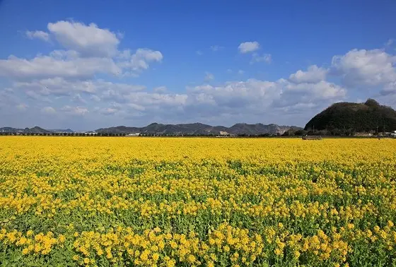 ３月