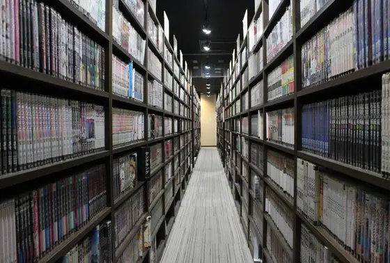 漫画がたくさん！