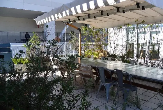 SOHOLM CAFE