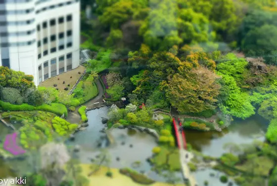 360度回転展望からの眺め