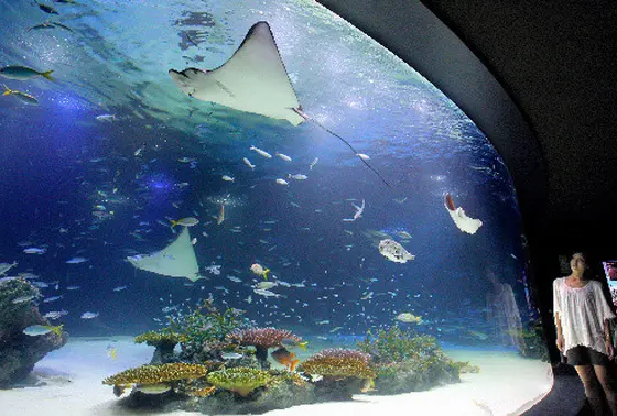 水族館も楽しい