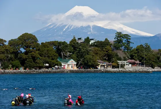 富士山に見守られた贅沢なダイビング♪