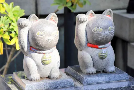 様々な猫に出会えるスポット