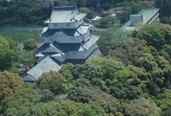 上空から見るとこんな感じ