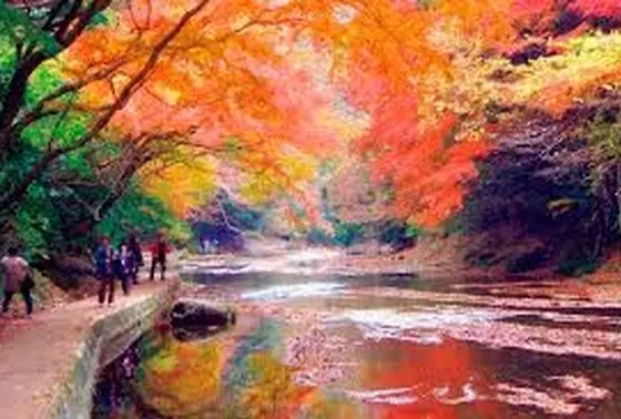 渓谷の紅葉は最高です！