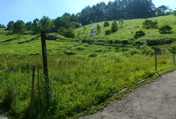 山頂へのハイキングコース