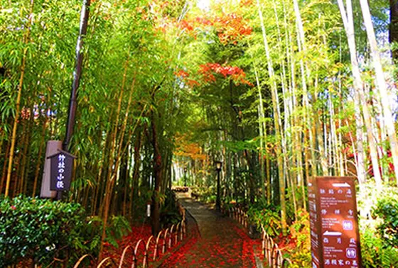 スポット内のおすすめ