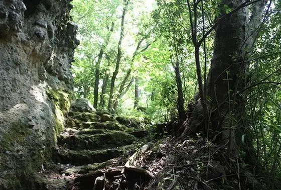 遊歩道で自然を堪能。