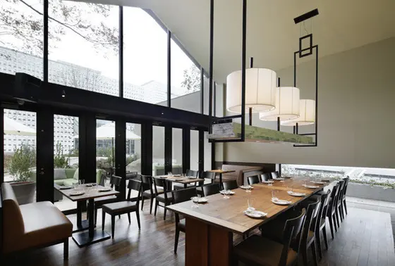 IVY PLACE