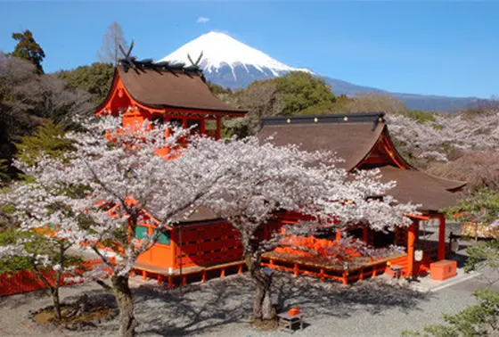 晴れていれば、もちろん富士山も！