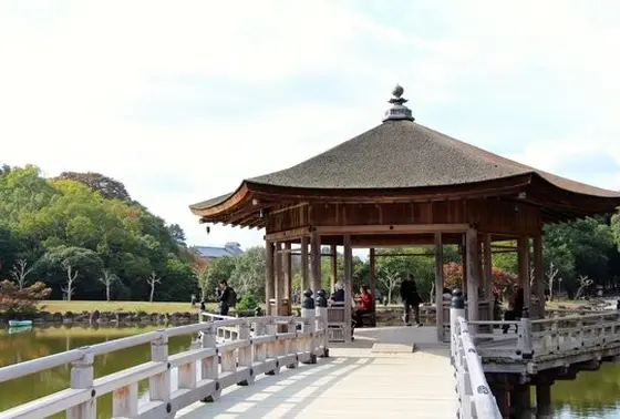 のどかな雰囲気を楽しみたい