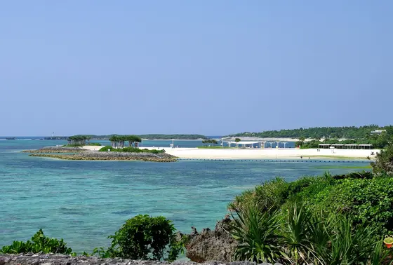 🏝