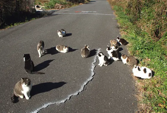 これだけいれば