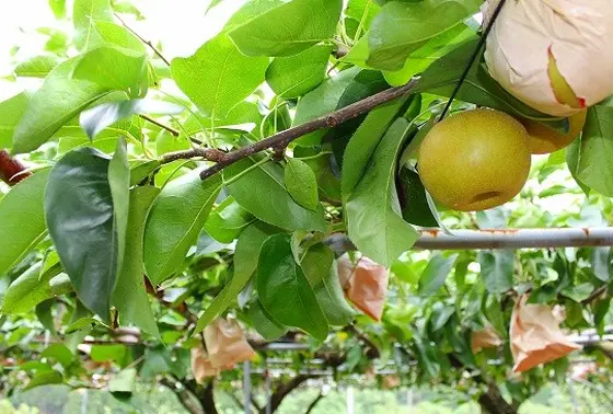 ご家族にぴったり！