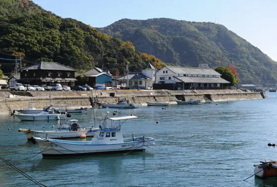 埠頭全景
