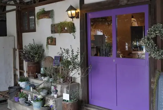 おしゃれで新鮮