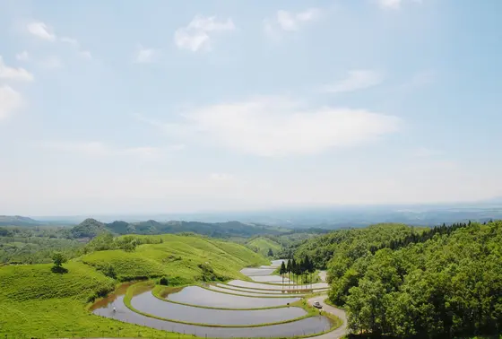 扇田
