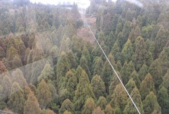 めっちゃ高い！！