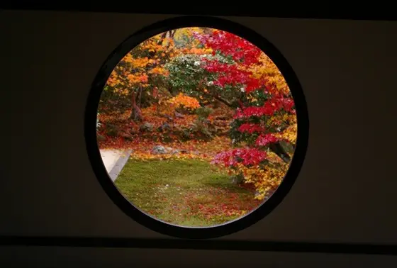 紅葉の秋