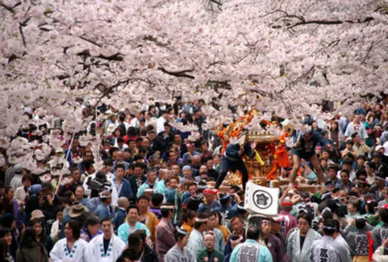 鶴ヶ城さくら祭り