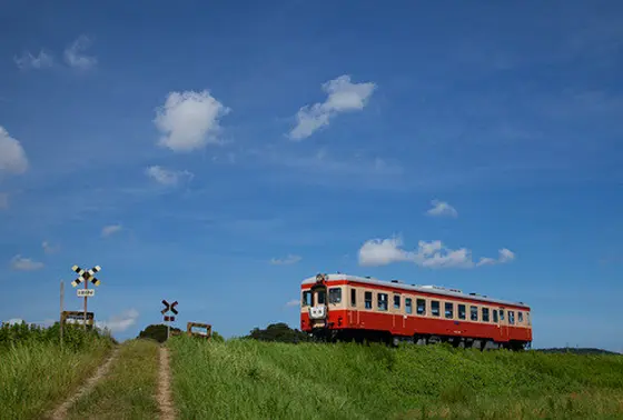 列車が通過する瞬間がシャッターチャンス