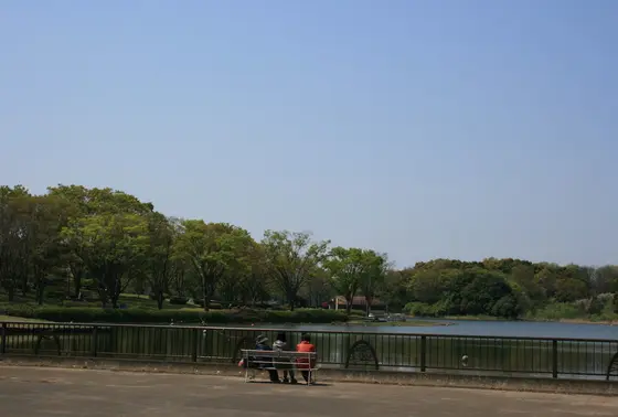 水鳥の池