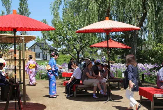 野点