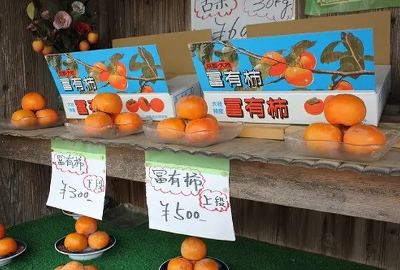 秋にはあちこちで柿が
