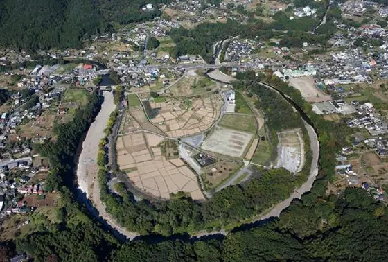 巾着田を上から見た写真