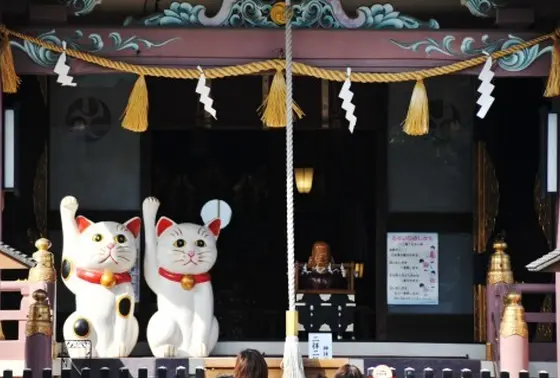 本殿の招き猫は必見！