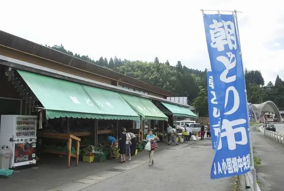 朝どり市