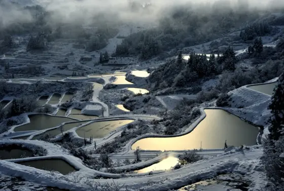 雪化粧の棚田