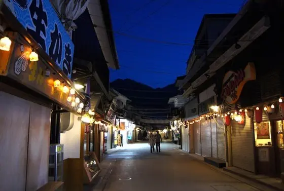 夜の商店街はひと味違うよ
