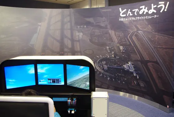 フライシミュレーター