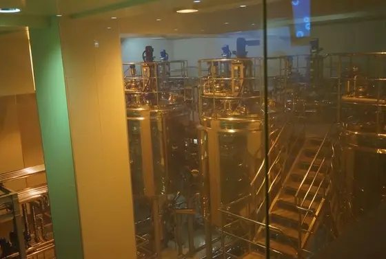 ただいま発酵中。暑い・・・。