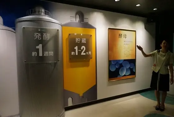 仕込・発酵・貯酒・ろ過・缶詰