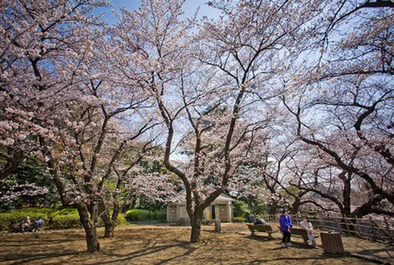 哲学堂公園3