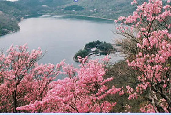 春の大沼