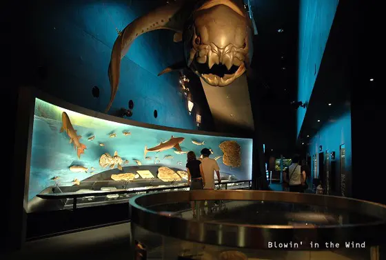 古代の生物達