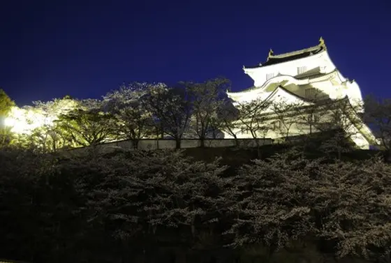 夜の大多喜城