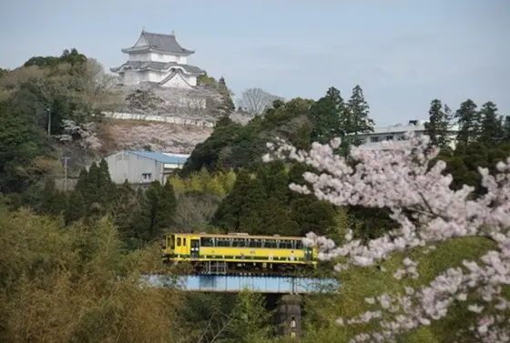 近くにこんなお城もあります！