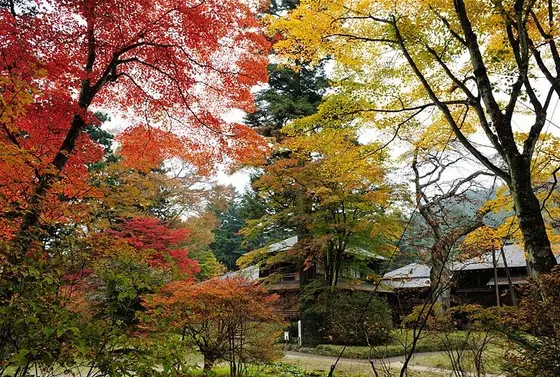 日本庭園