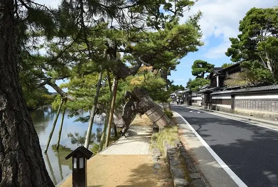 観光スポットが停留所。乗り降り自由