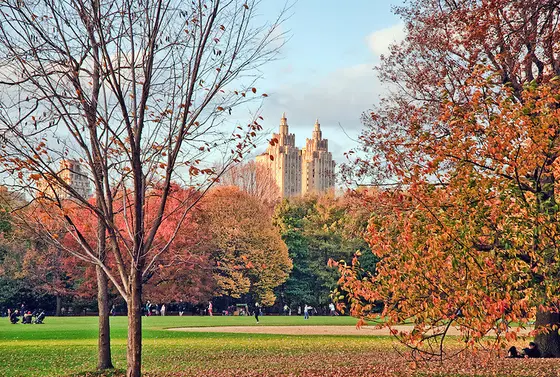 Autumn