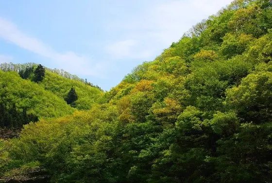 自然の中でリフレッシュ