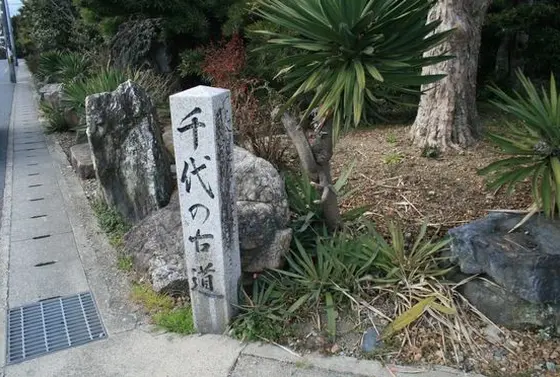 「千代の古道」