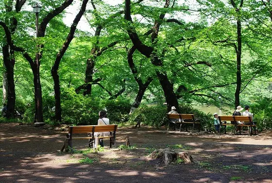 公園のベンチもたくさん