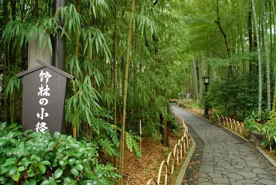 竹林
