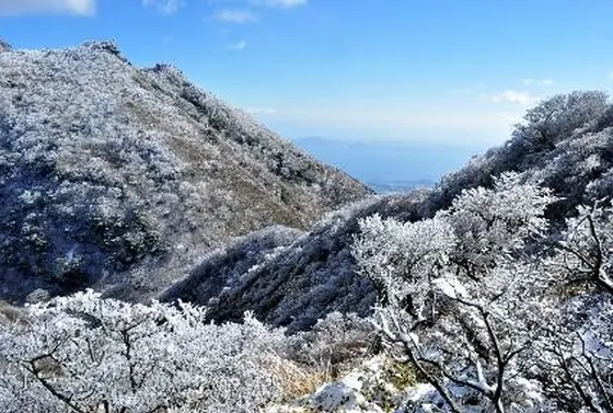 雲仙の冬～霧氷（花ぼうろ）の夢幻の世界